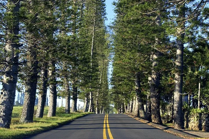 /img/1117-honeymoon-destination-5.webp