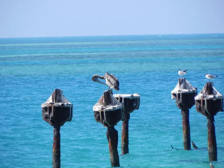 1118 dry tortugas beach