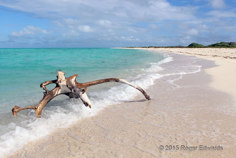 1118 dry tortugas fort jefferson