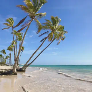 /img/1124-dominican-republic-honeymoon.webp