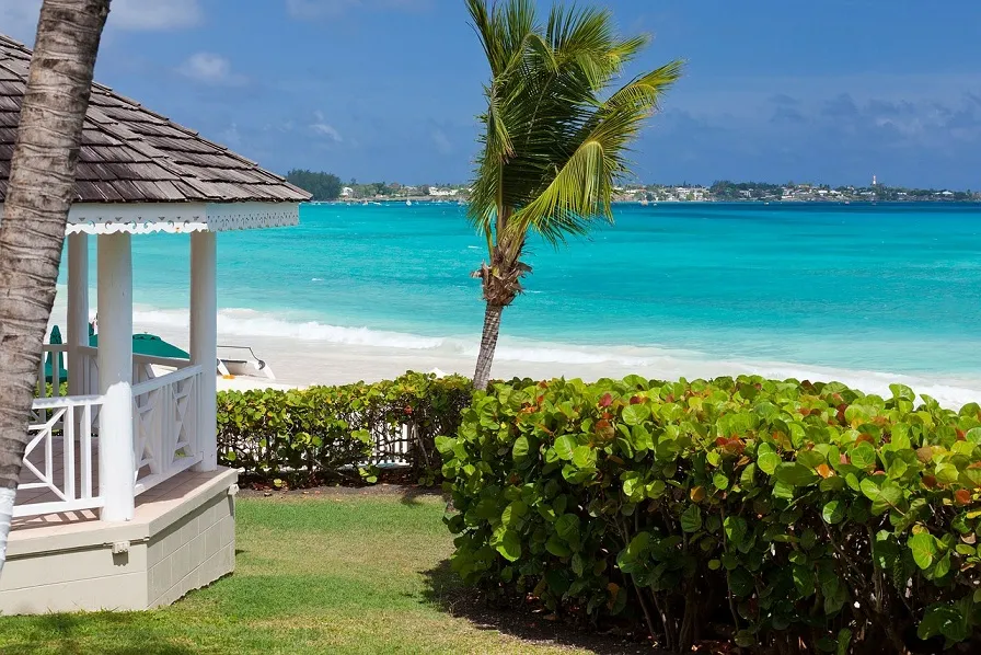 1124 st lucia honeymoon