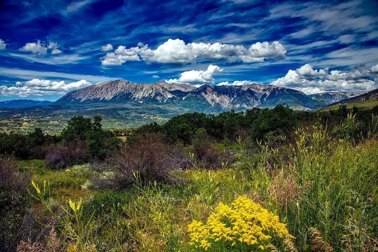 /img/1137-colorado-honeymoon-memories.webp