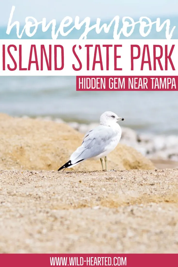 1151 honeymoon island best time to visit