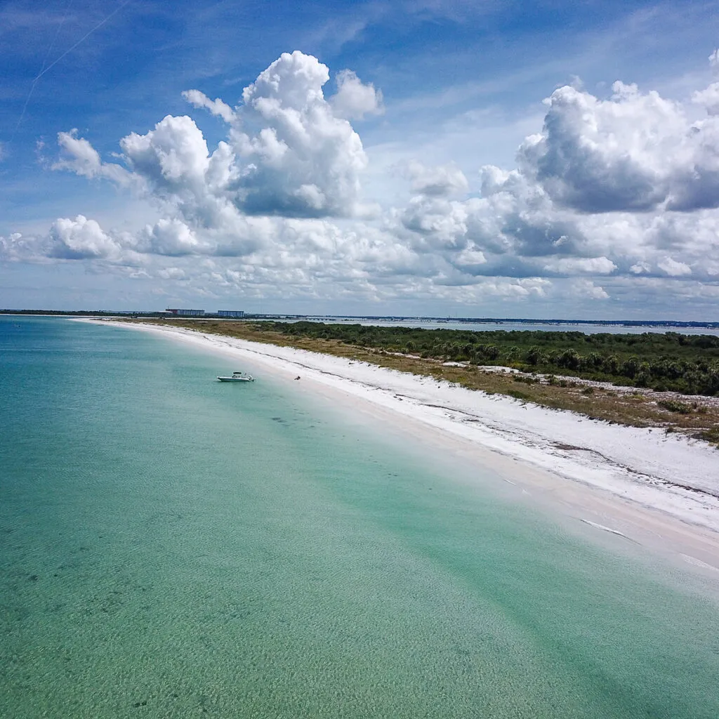 1151 honeymoon island spring