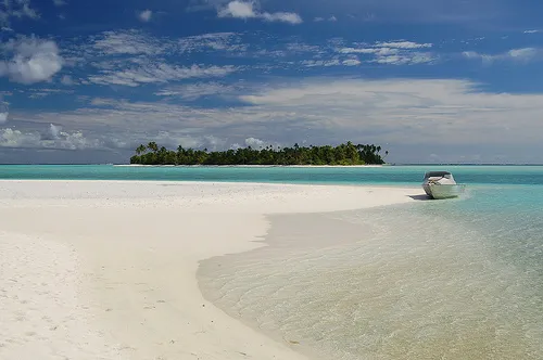 1151 honeymoon island winter