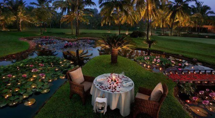 1153 paris honeymoon