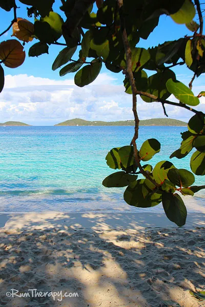 /img/1191-honeymoon-beach-st-john-usvi-travel.webp