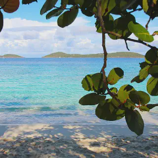 /img/1191-honeymoon-beach-st-john-usvi-travel.webp