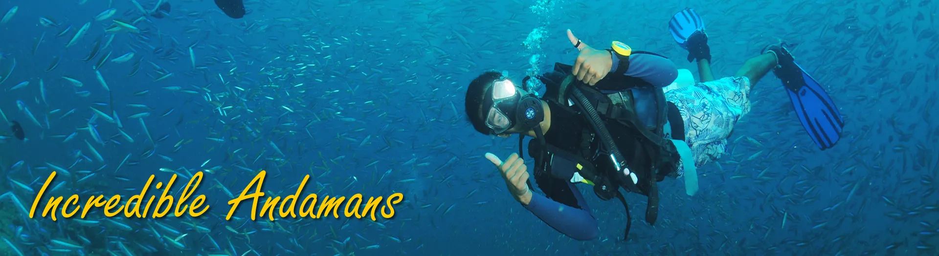 1192 andaman scuba diving