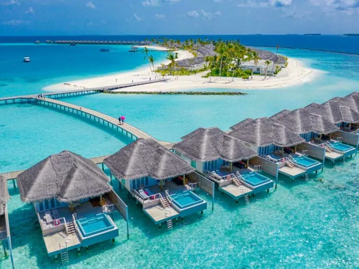 1197 maldives couple sunset