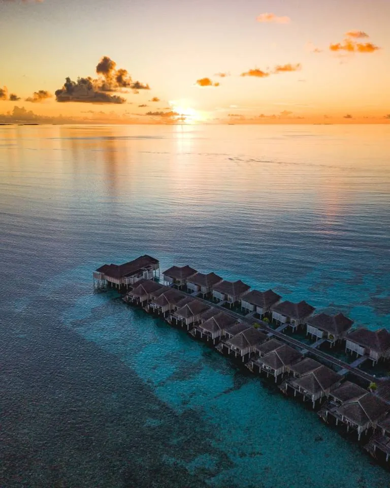 1197 maldives snorkeling