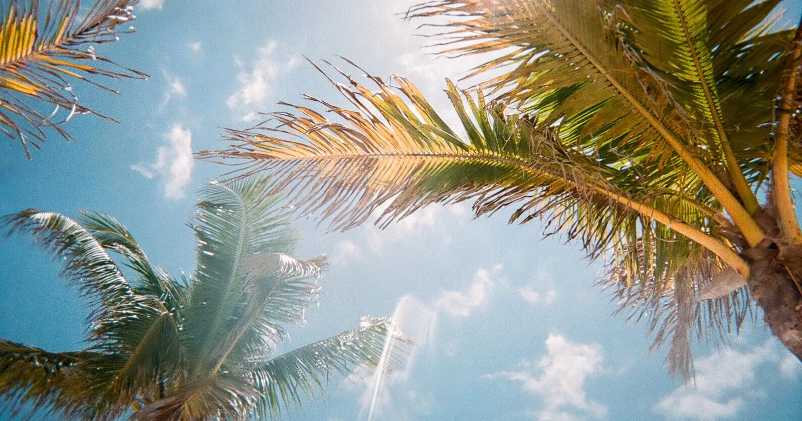 1210 fontainebleau miami beach