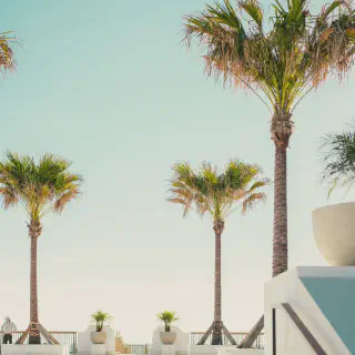 /img/1210-mandarin-oriental-miami.webp