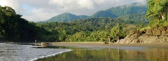 1224 costa rica rainforest