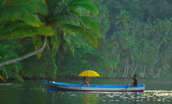1224 monteverde honeymoon