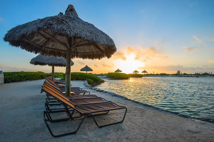 1232 florida keys honeymoon transportation