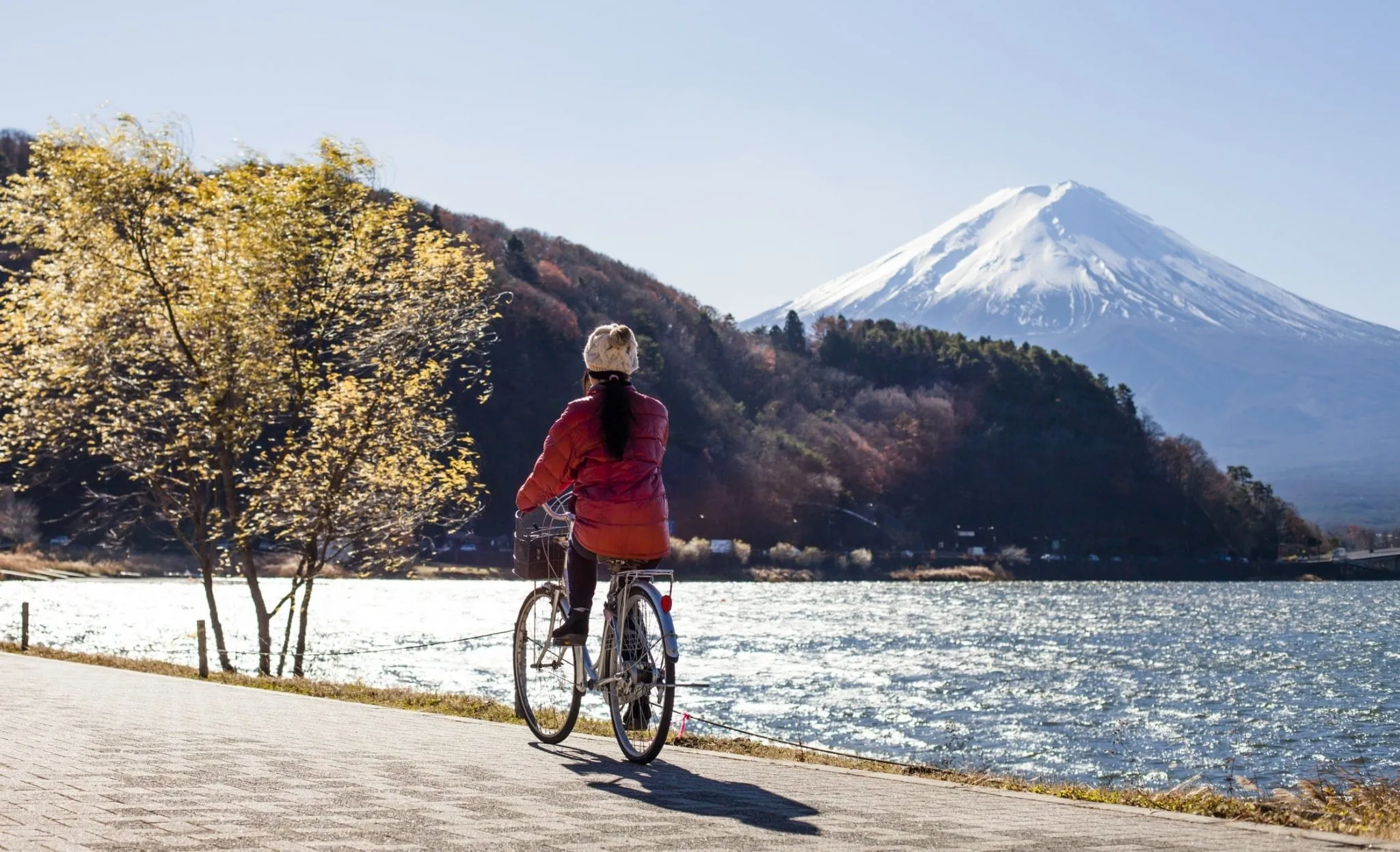 1233 lake ashi cruise