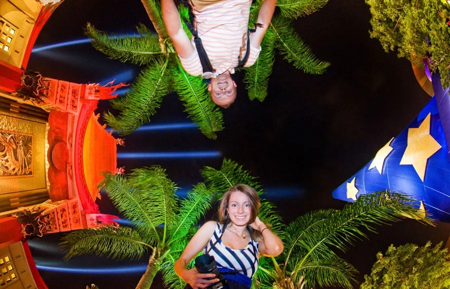 /img/1235-animal-kingdom.webp