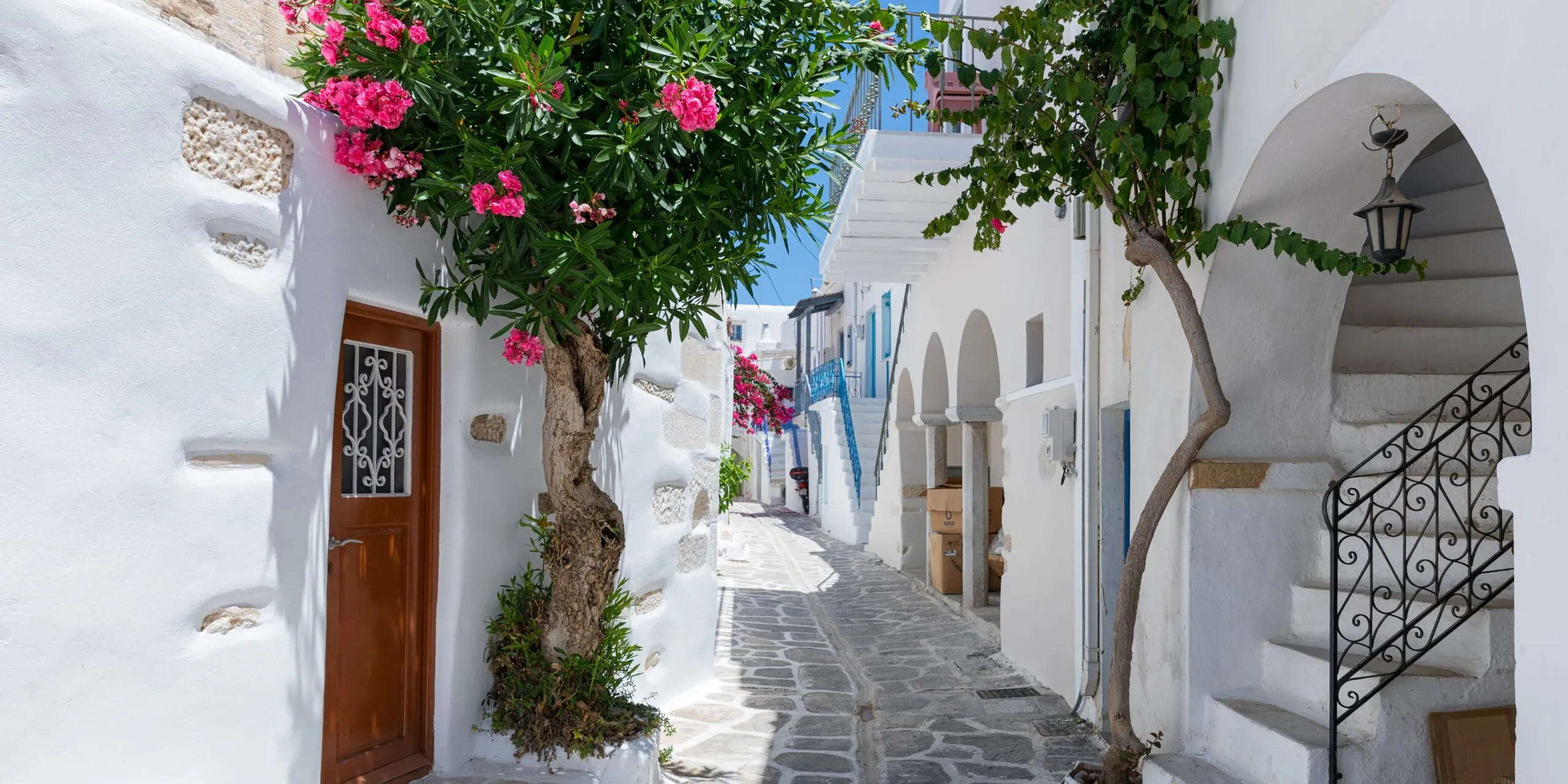 1260 athens honeymoon