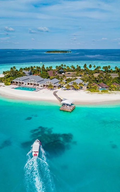 1268 bora bora honeymoon