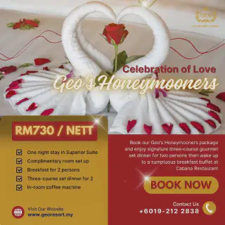 /img/1281-packing-for-honeymoon.webp