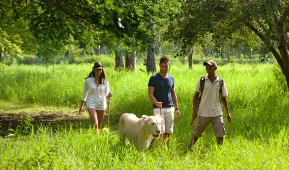 /img/1285-mauritius-honeymoon-hotel-8.webp
