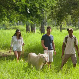 /img/1285-mauritius-honeymoon-hotel-8.webp