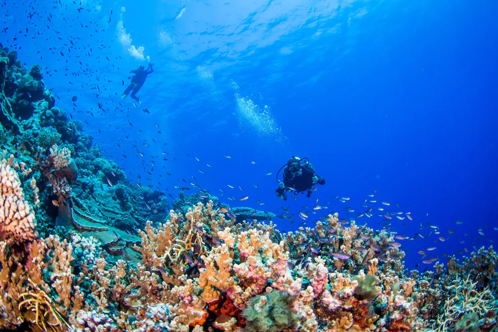 1286 great barrier reef honeymoon overview