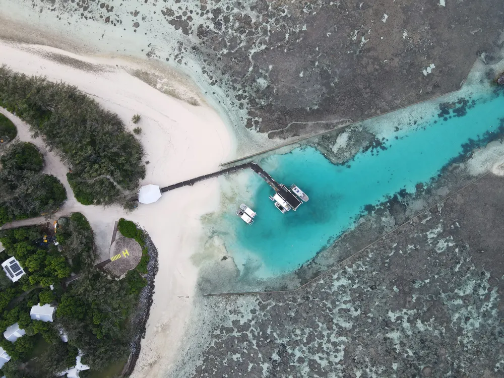1286 lizard island honeymoon