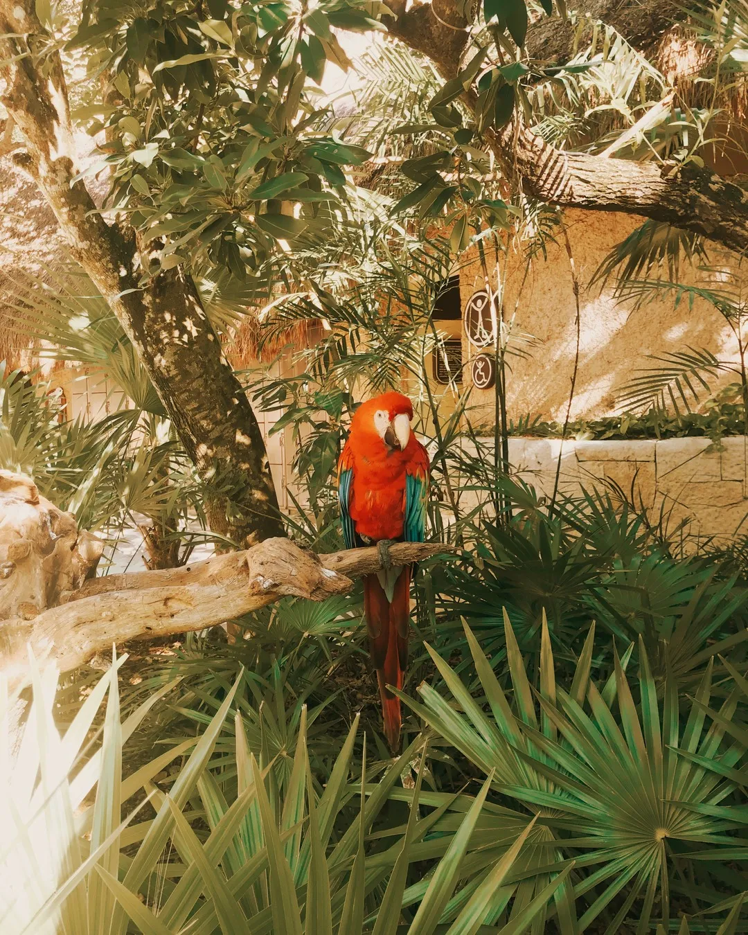 /img/1301-cancun-honeymoon-spa.webp
