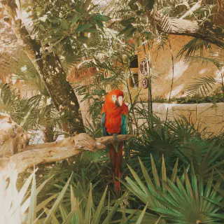 /img/1301-cancun-honeymoon-spa.webp