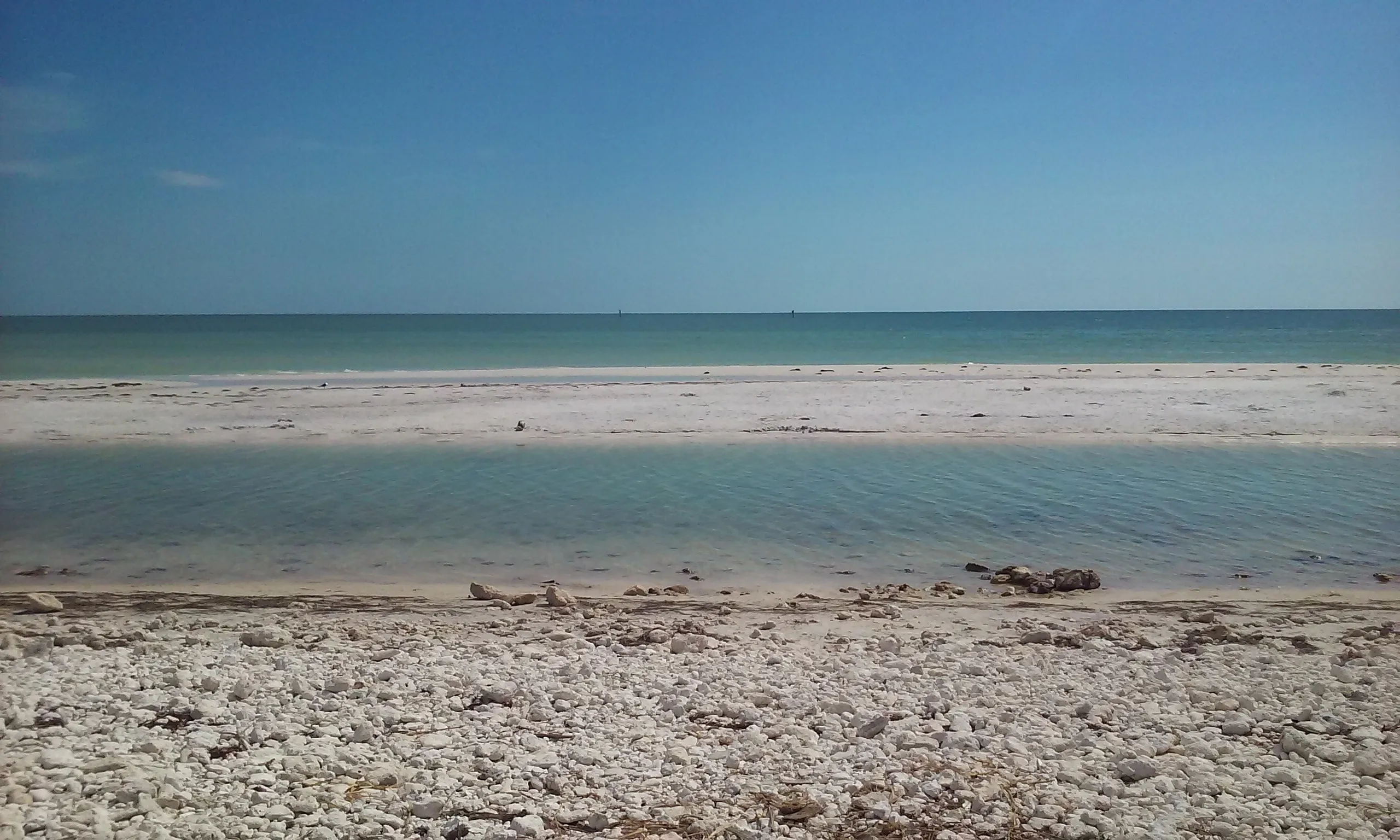 1326 honeymoon island kayaking