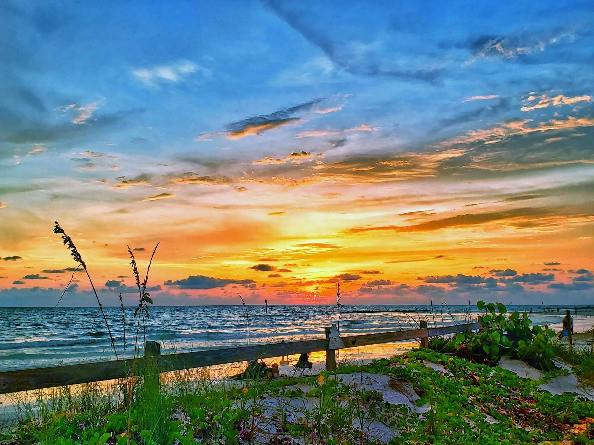/img/1326-honeymoon-island-sunset.webp