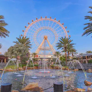 /img/1351-budget-honeymoon-florida.webp