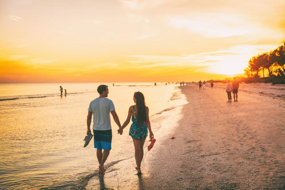 1351 disney honeymoon package