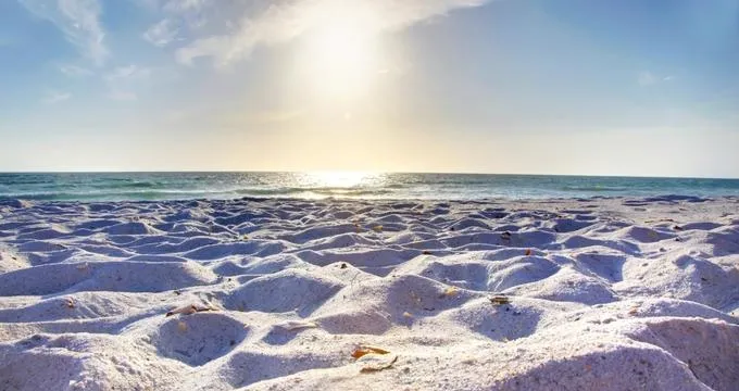 1351 florida city beach honeymoon