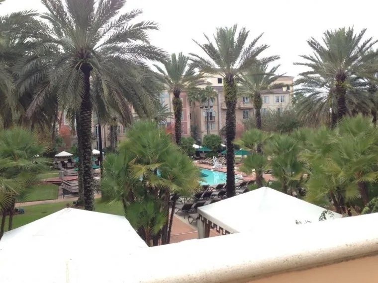 1363 orlando honeymoon attraction