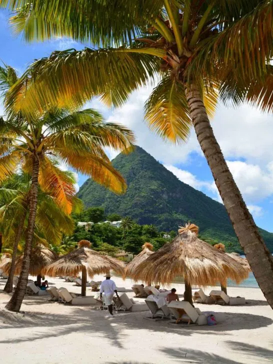 1366 caribbean resort honeymoon como parrot cay