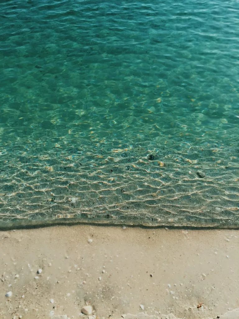 1423 florida beach